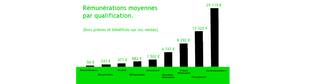 revenu_moyen_it_ works